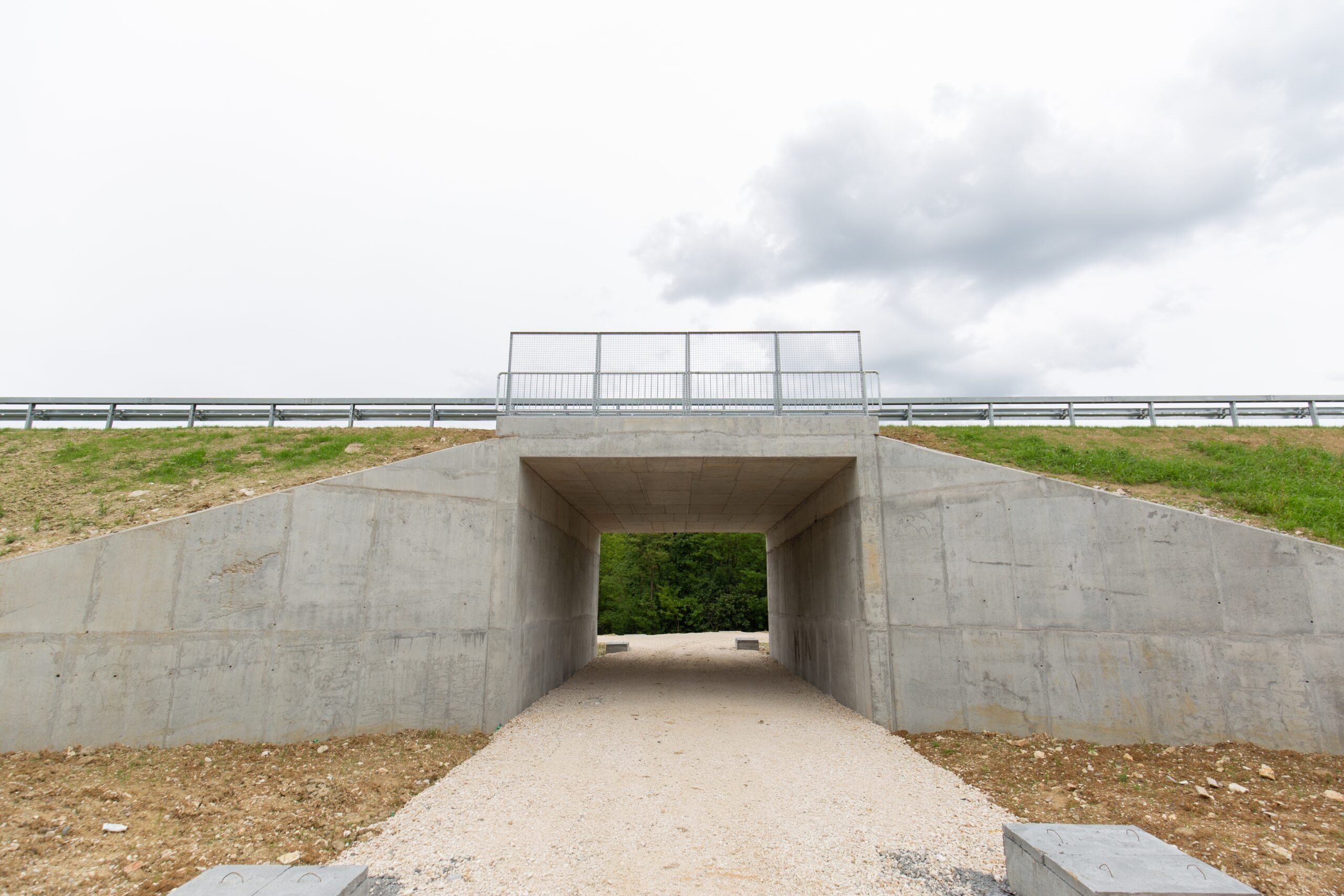 The New Future of architecture